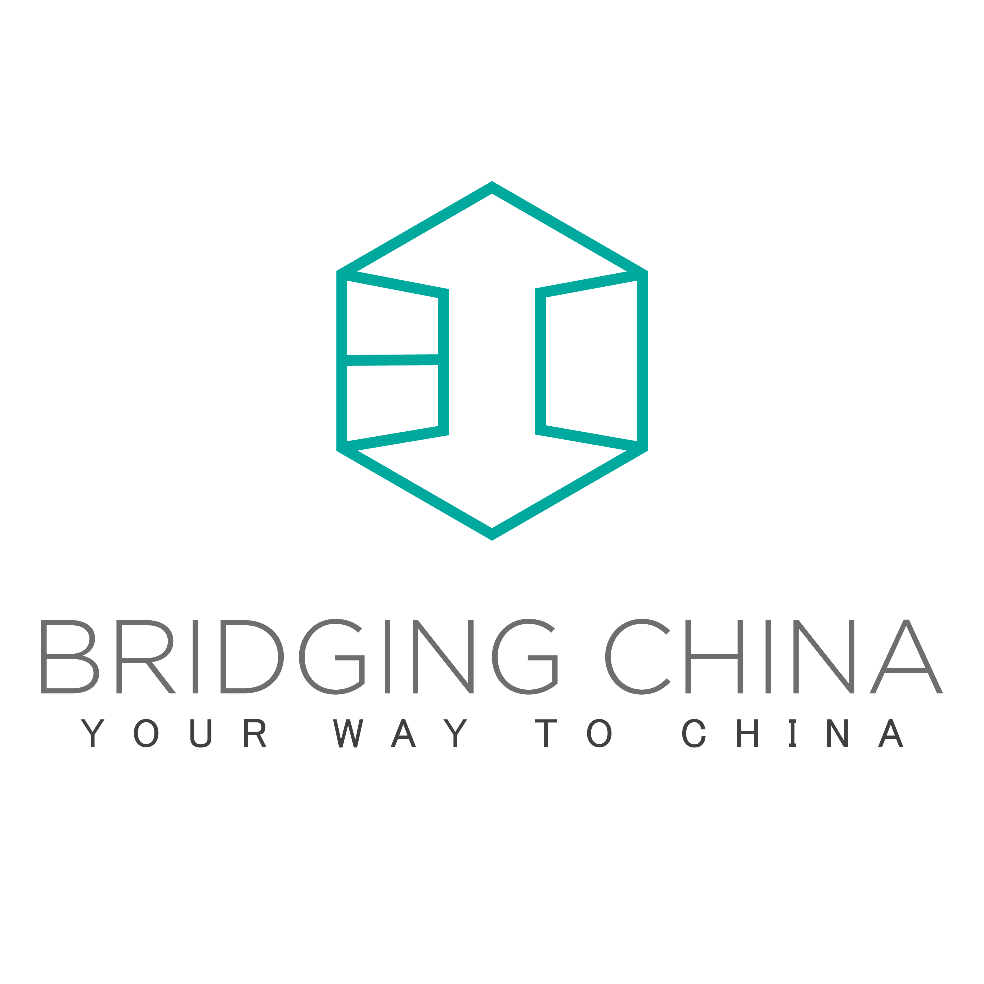 logo-Bridging China Group