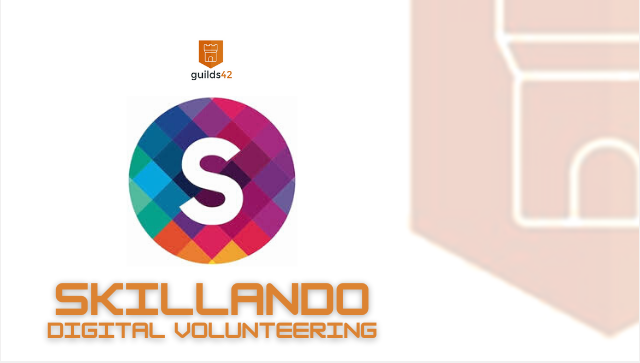 No Profit - Skillando Digital volunteering